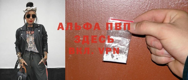 apvp Белокуриха