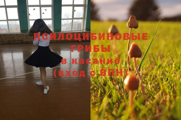 ГАЛЛЮЦИНОГЕННЫЕ ГРИБЫ Белоозёрский