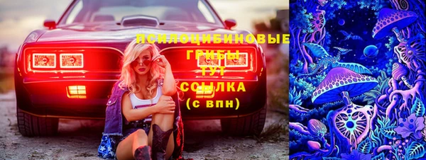 ГАЛЛЮЦИНОГЕННЫЕ ГРИБЫ Белоозёрский