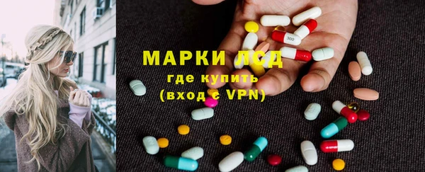 apvp Белокуриха
