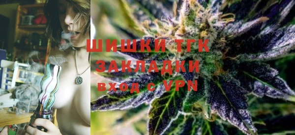 apvp Белокуриха