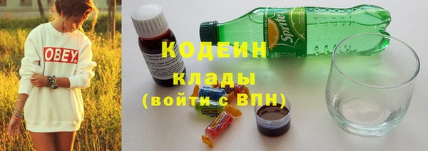 ГАЛЛЮЦИНОГЕННЫЕ ГРИБЫ Белоозёрский